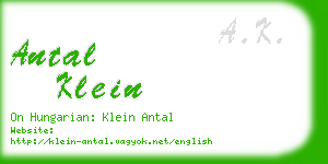 antal klein business card